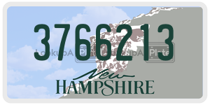 3766213  license plate in NH