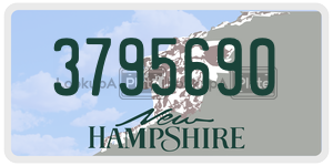 3795690  license plate in NH
