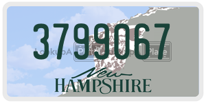 3799067  license plate in NH