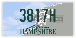 3817H  license plate in NH