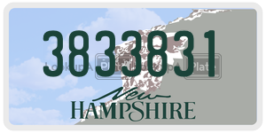 3833831  license plate in NH