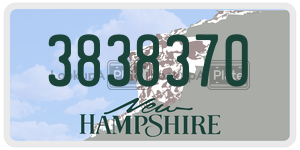 3838370  license plate in NH