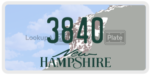 3840  license plate in NH