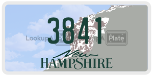 3841  license plate in NH