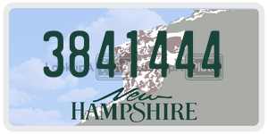 3841444  license plate in NH
