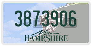3873906  license plate in NH