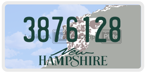 3876128  license plate in NH