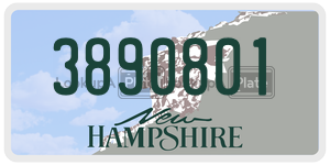 3890801  license plate in NH