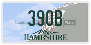 390B  license plate in NH