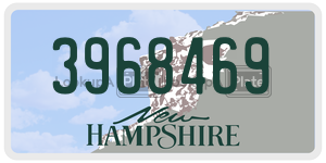 3968469  license plate in NH
