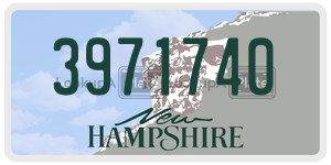 3971740  license plate in NH