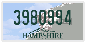 3980994  license plate in NH