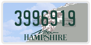 3996919  license plate in NH