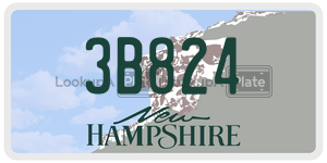 3B824  license plate in NH
