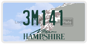 3M141  license plate in NH