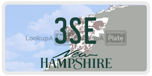 3SE  license plate in NH