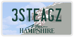 3STEAGZ  license plate in NH