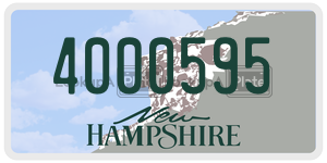 4000595  license plate in NH