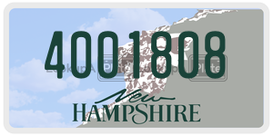 4001808  license plate in NH