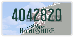 4042820  license plate in NH
