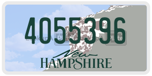 4055396  license plate in NH