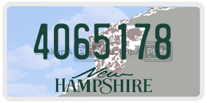 4065178  license plate in NH