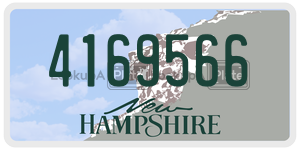 4169566  license plate in NH