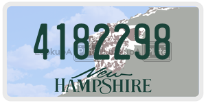 4182298 license plate in New Hampshire