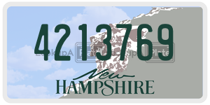 4213769  license plate in NH
