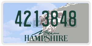 4213848  license plate in NH
