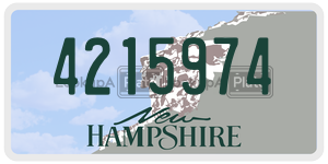 4215974  license plate in NH