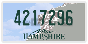 4217296  license plate in NH