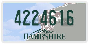 4224616  license plate in NH