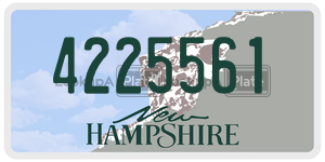 4225561  license plate in NH