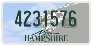 4231576  license plate in NH