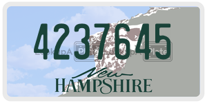 4237645  license plate in NH