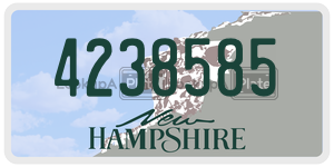4238585  license plate in NH