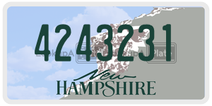 4243231  license plate in NH