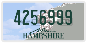 4256999  license plate in NH
