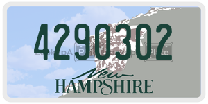 4290302  license plate in NH