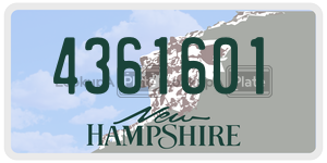 4361601  license plate in NH