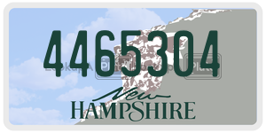 4465304  license plate in NH