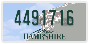 4491716  license plate in NH
