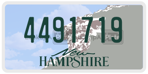 4491719  license plate in NH