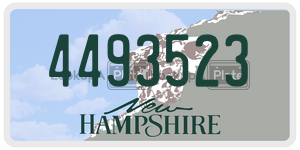 4493523  license plate in NH