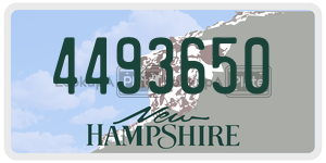 4493650  license plate in NH
