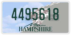 4495618  license plate in NH