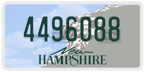 4496088  license plate in NH
