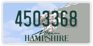 4503368  license plate in NH