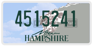 4515241  license plate in NH